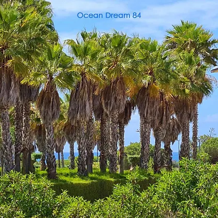 Ocean Dream 84 - Apt. T1 Na De Sao Rafael, * アルブフェイラ