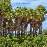 Ocean Dream 84 - Apt. T1 Na De Sao Rafael, * البوفيرا